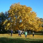 photo08